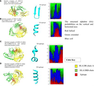 Development of a tetravalent subunit vaccine against dengue virus through a vaccinomics approach